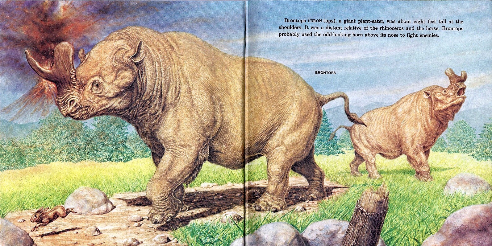 Vintage Dinosaur Art Prehistoric Animals (by Peter Zallinger) Love