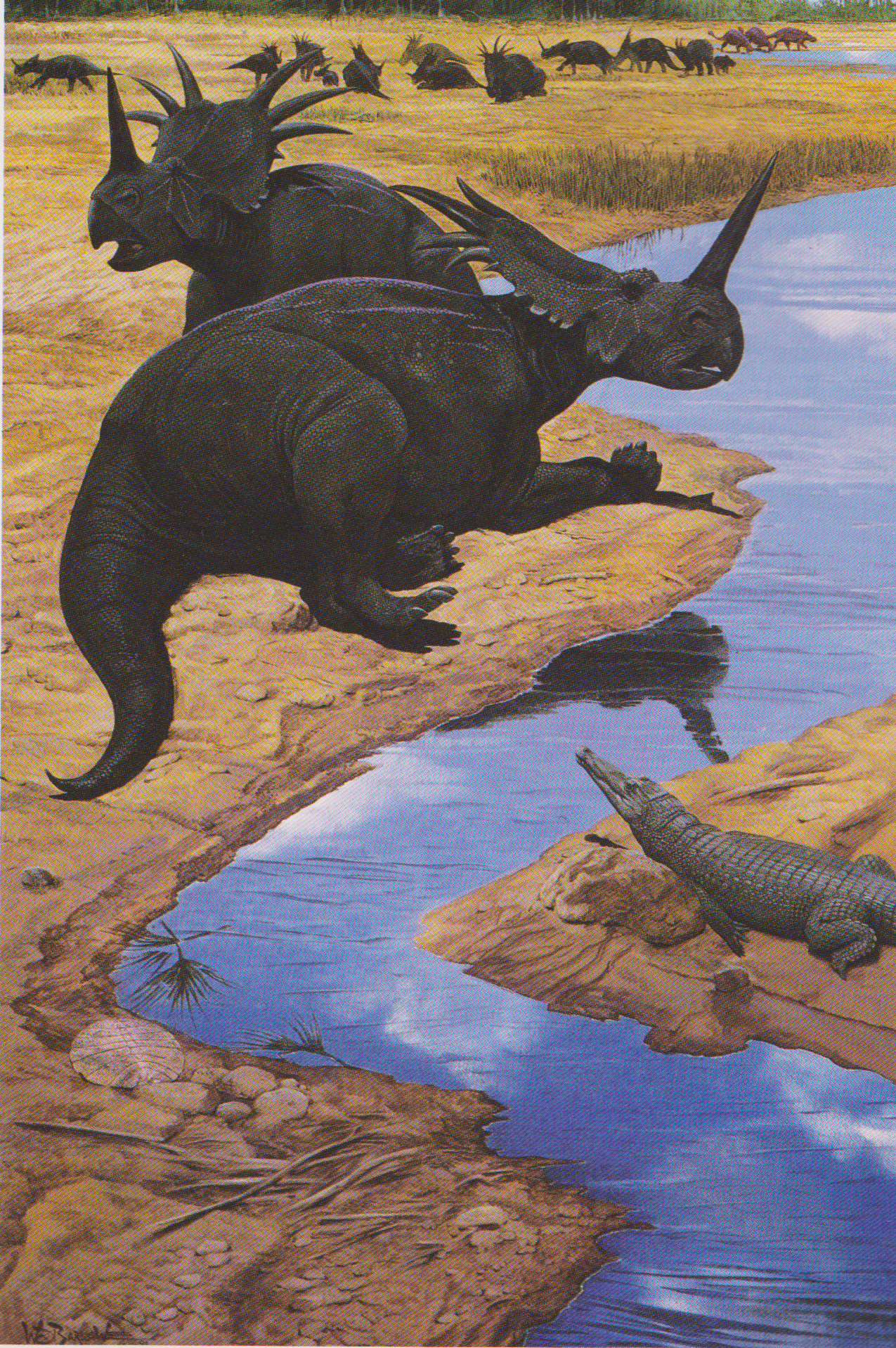 Vintage Dinosaur Art The Horned Dinosaurs Love in the Time of