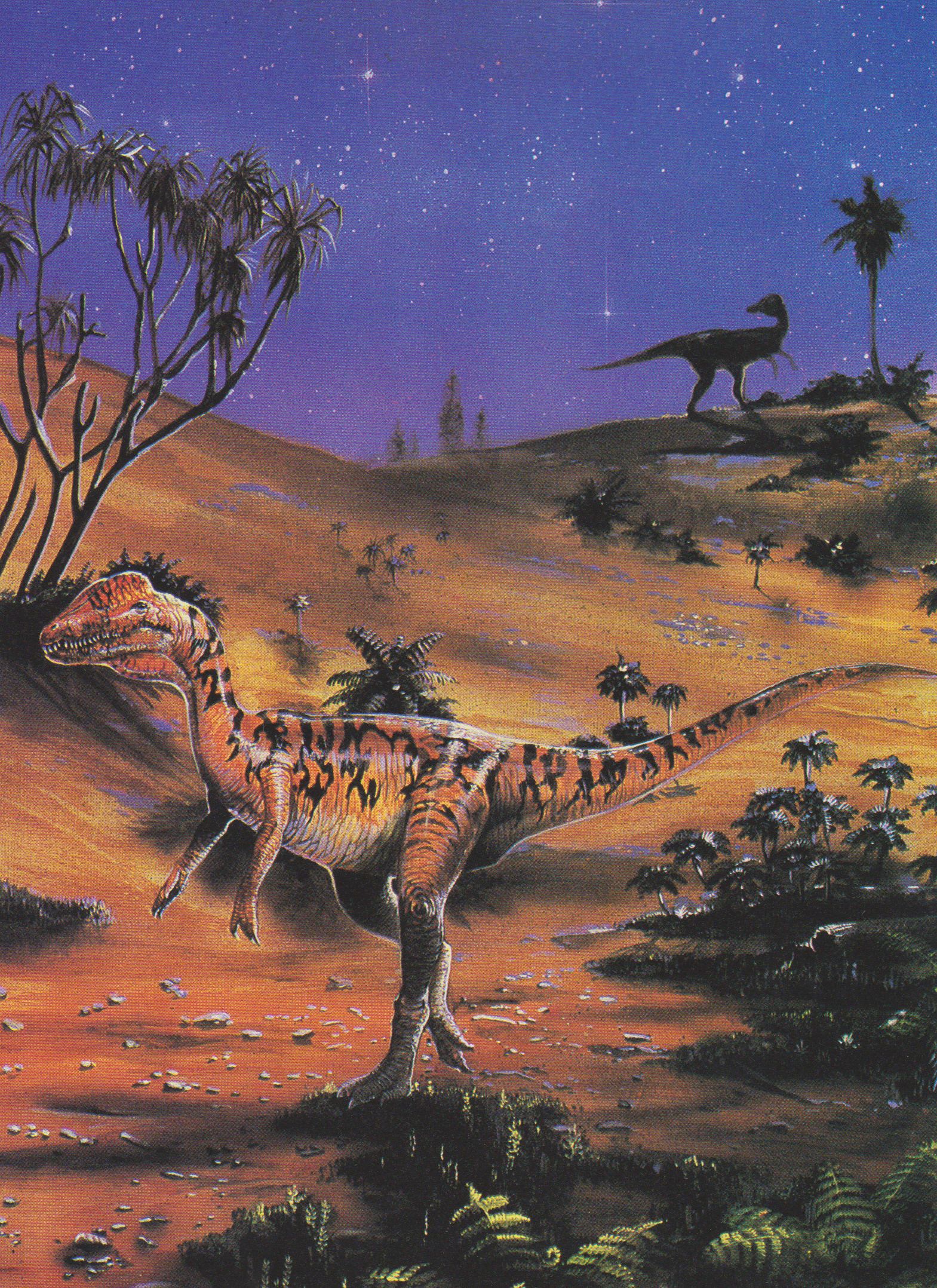 Vintage Dinosaur Art The Great Dinosaurs Part 1 Love in the Time