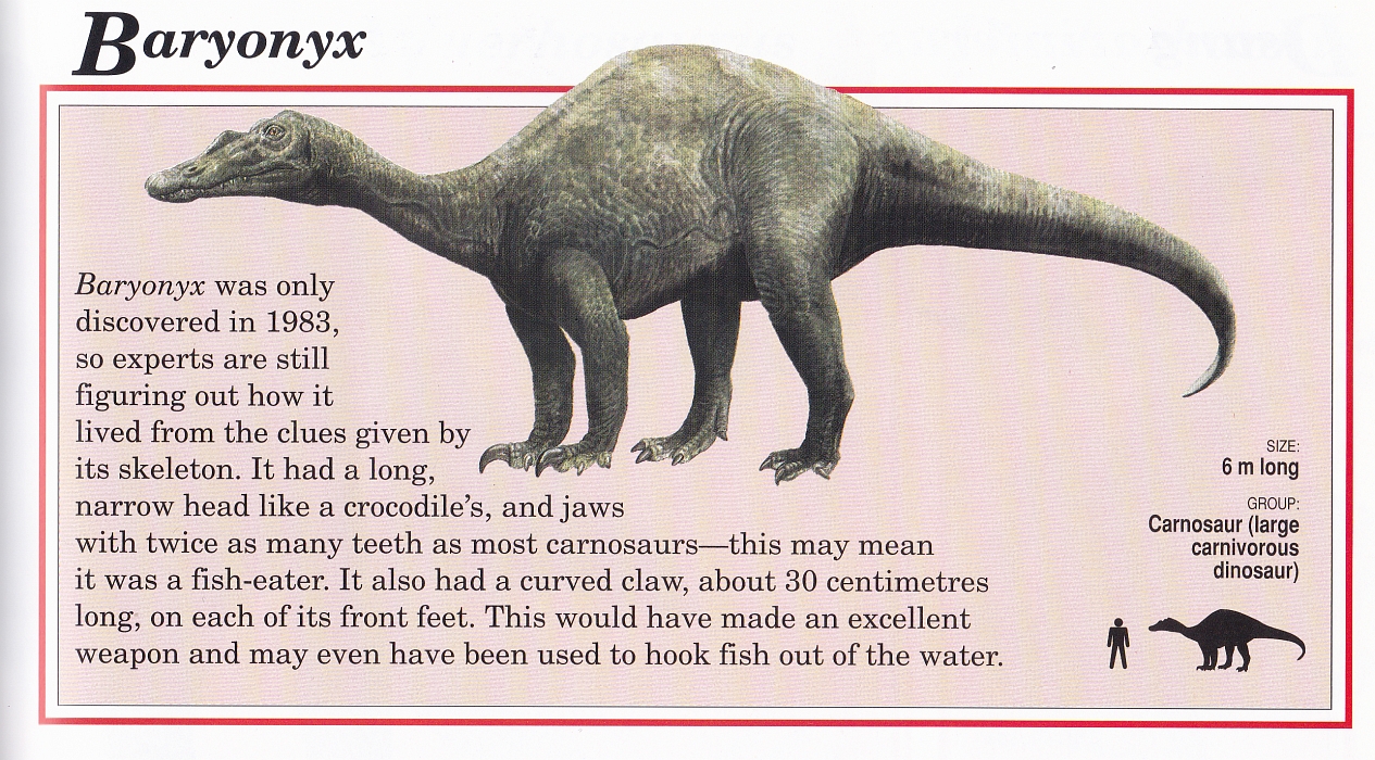 Vintage Dinosaur Art Dinosaur Encyclopaedia for Children (Gollancz