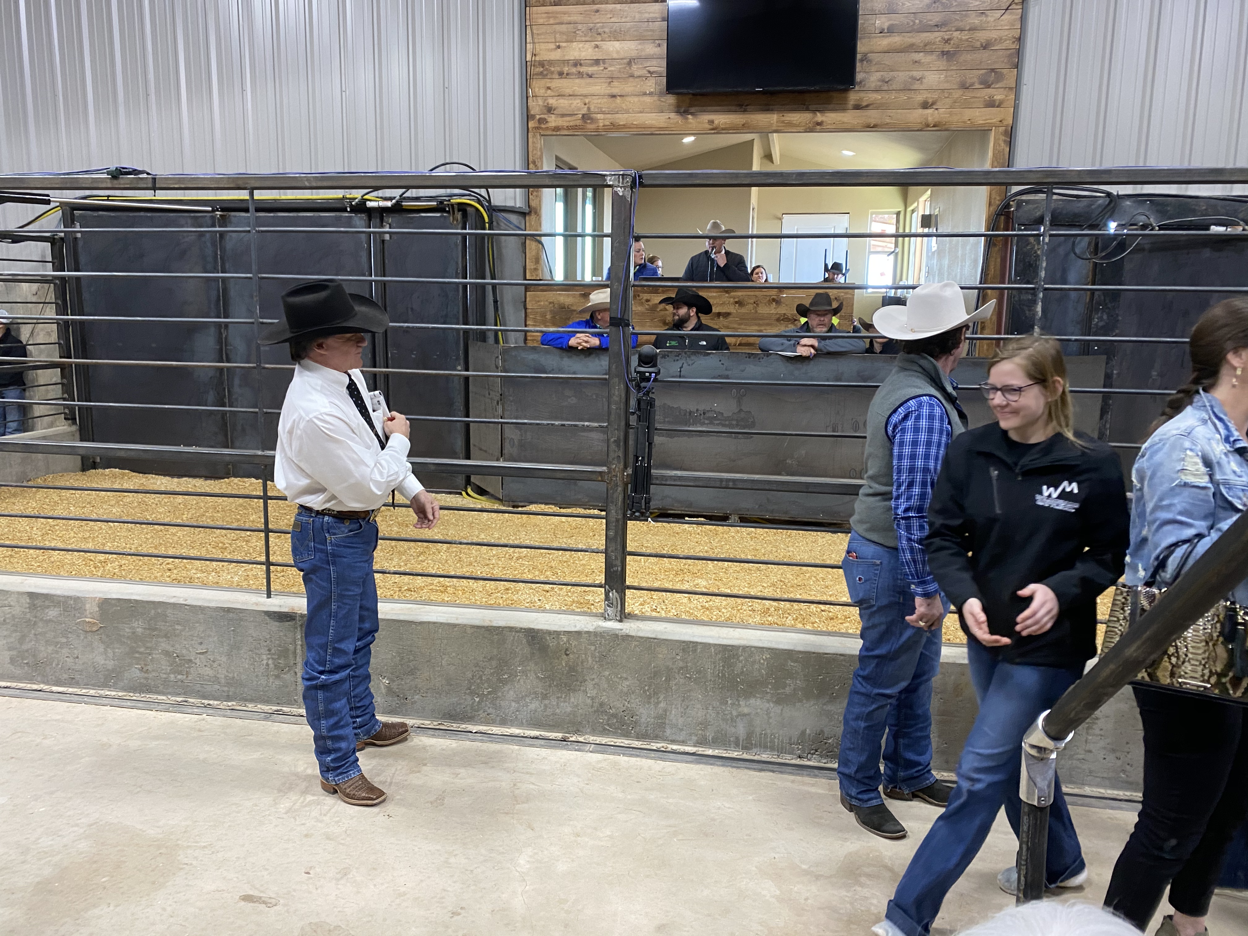 Wildorado Cattle Company Annual Production Sale Chas S. Middleton