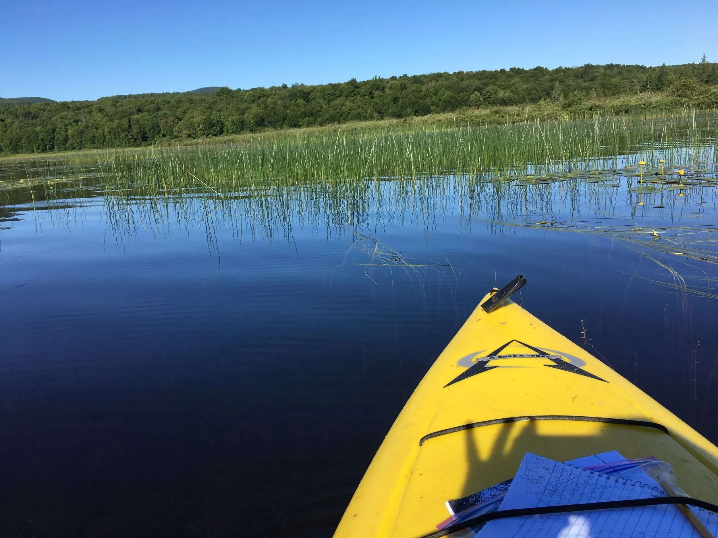 Volunteer Chateaugay Lake Foundation