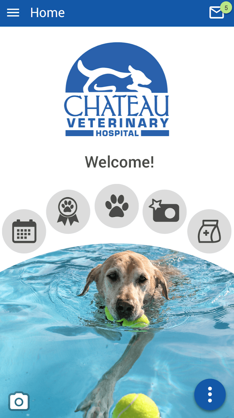Veterinarian Loyalty Program Chateau Veterinary Hospital