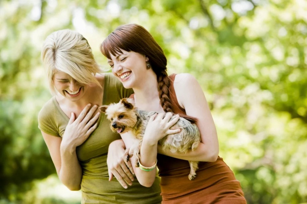 What leads to a long and happy life