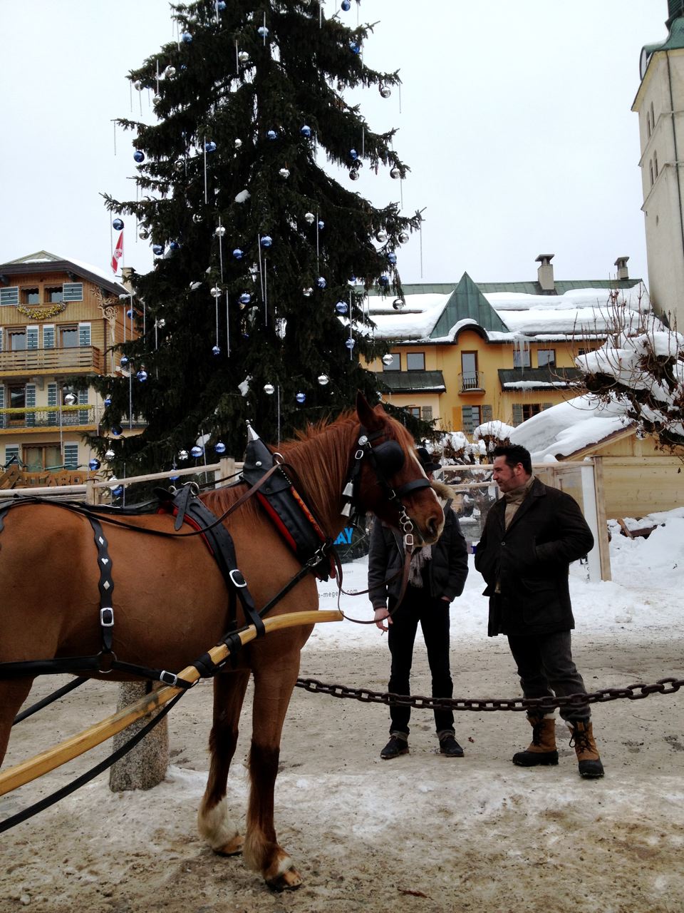Amy's Alpine cheese fondue recipe Bringing the French Alps home