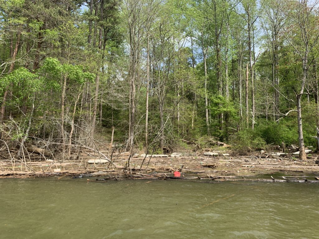 On the lake with Chattahoochee Riverkeeper Chattahoochee Riverkeeper