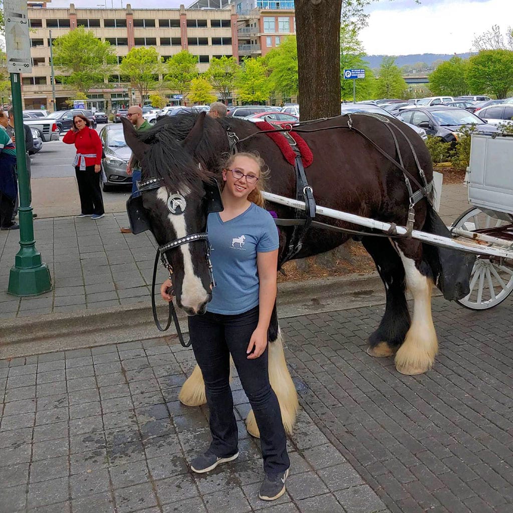 About us Chattanooga Carriage Rides