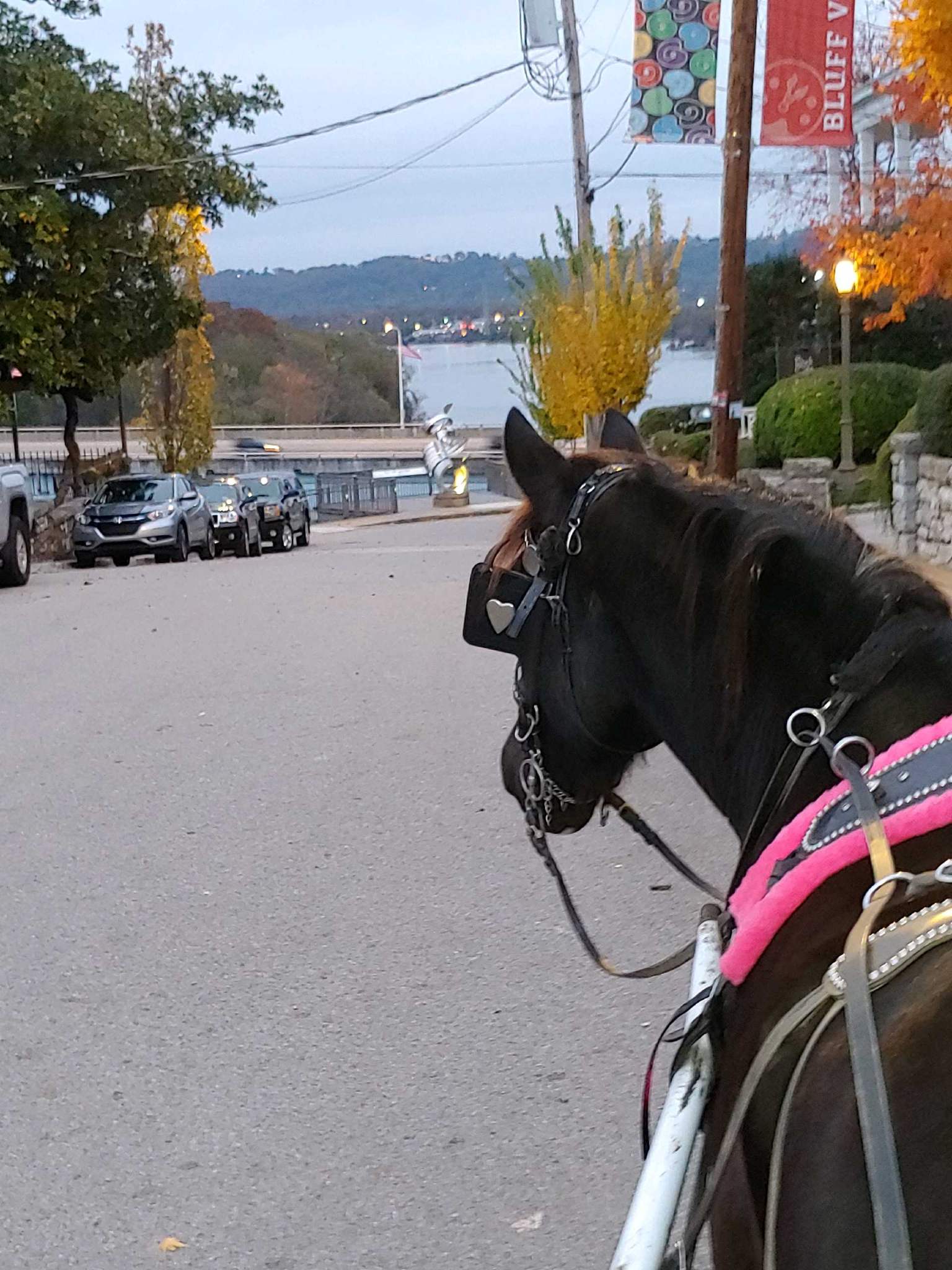 Gallery Chattanooga Carriage Rides