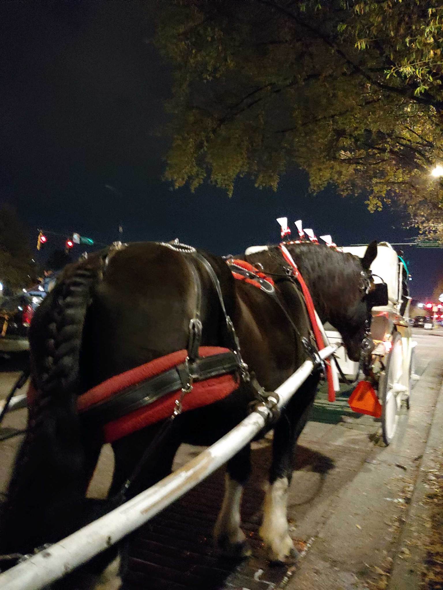 Gallery Chattanooga Carriage Rides