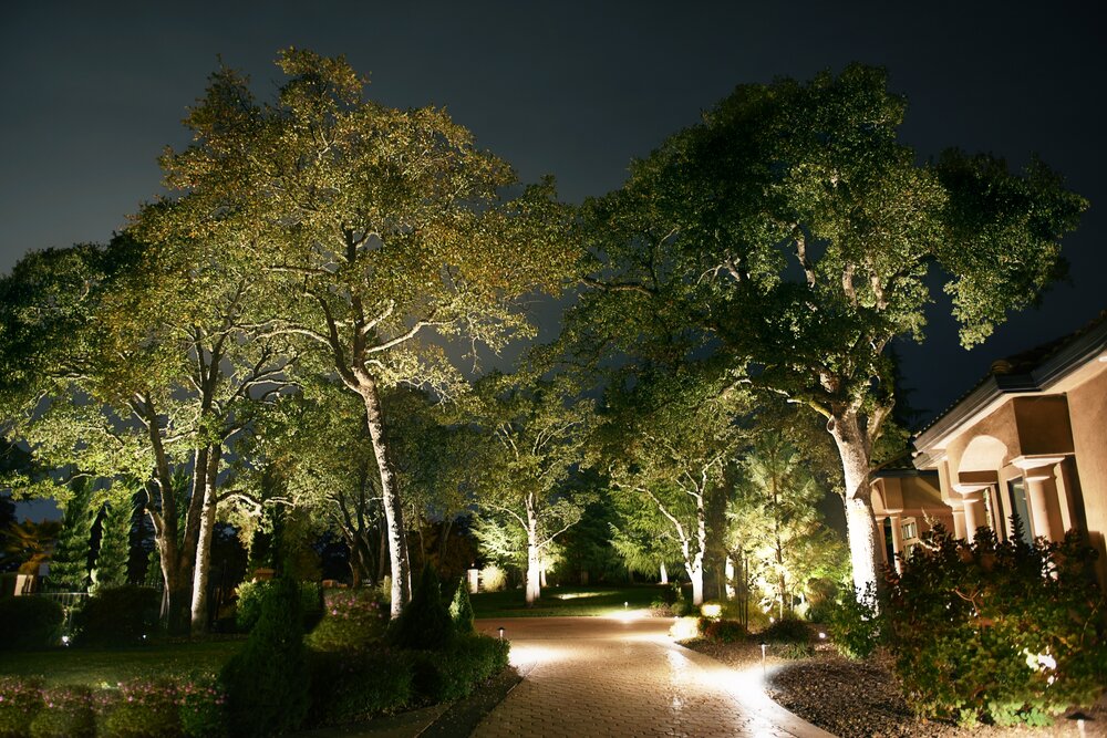 Foster Electric Chattanooga, TN Landscape Lighting Designer Foster