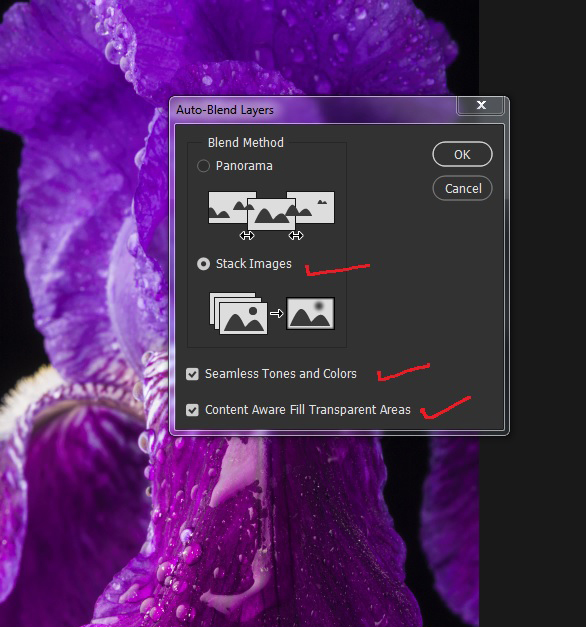Focus Stacking in Photographic Society of Chattanooga