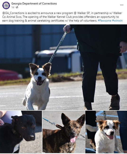 Walker Animal Shelter & Walker State Prison Join Forces With New Prison