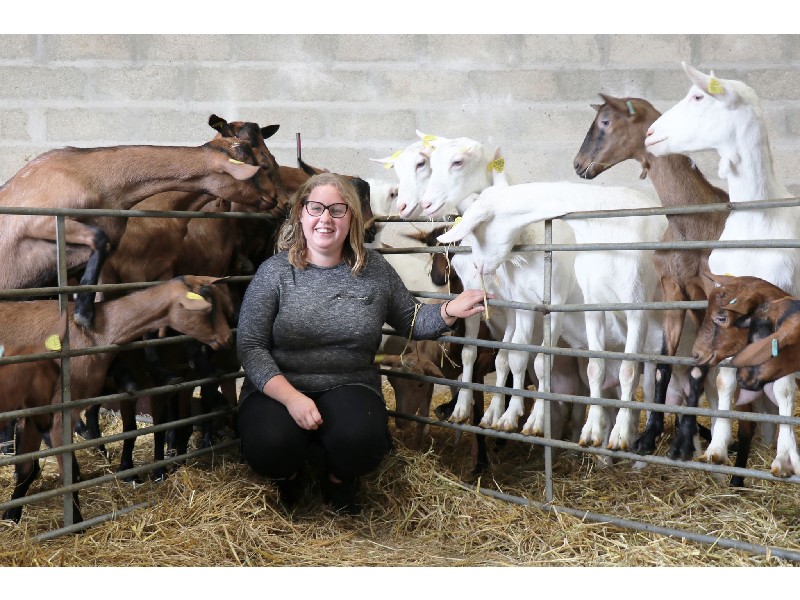 La CHEVRE RIT DE MANON Mairie de Chavenay