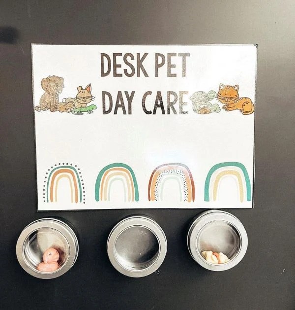 Desk Pets (15 Creative Ideas to Try This Year) Chaylor & Mads