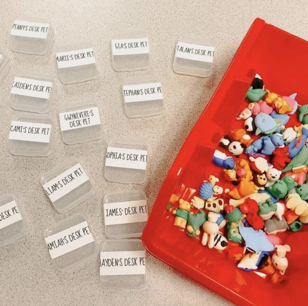 Desk Pets (15 Creative Ideas to Try This Year) Chaylor & Mads