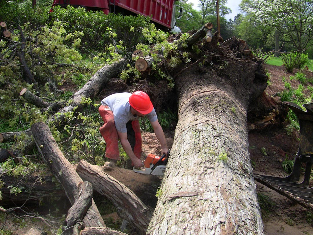 Mulch Delivery and/or Installation