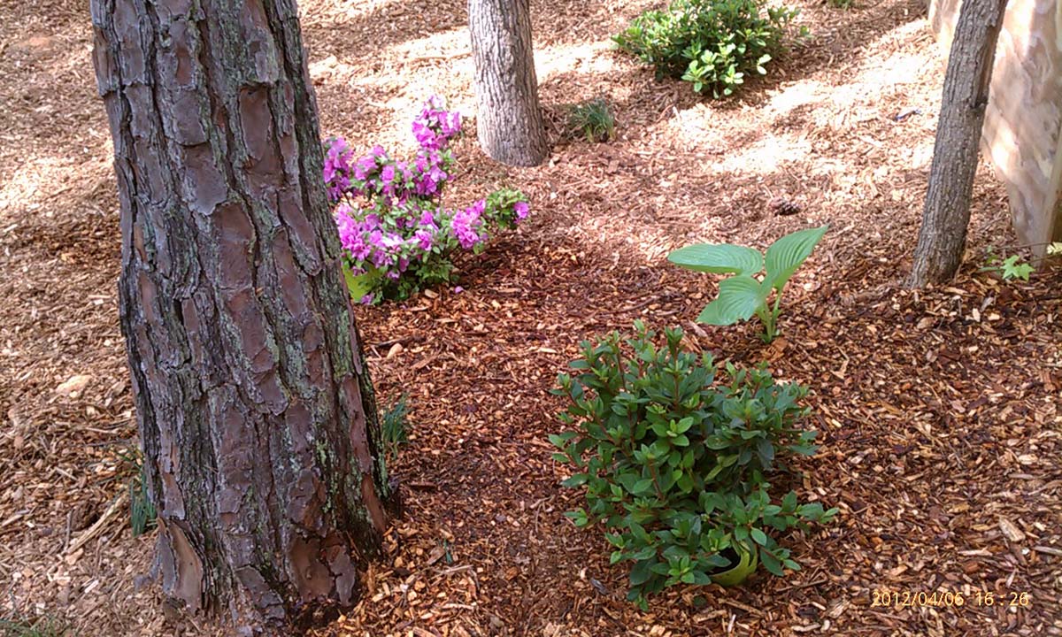 Mulch Delivery and/or Installation