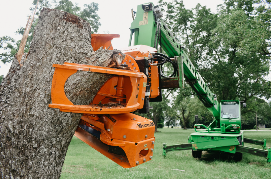 Tree Loppers Brisbane Tree removal and trimming