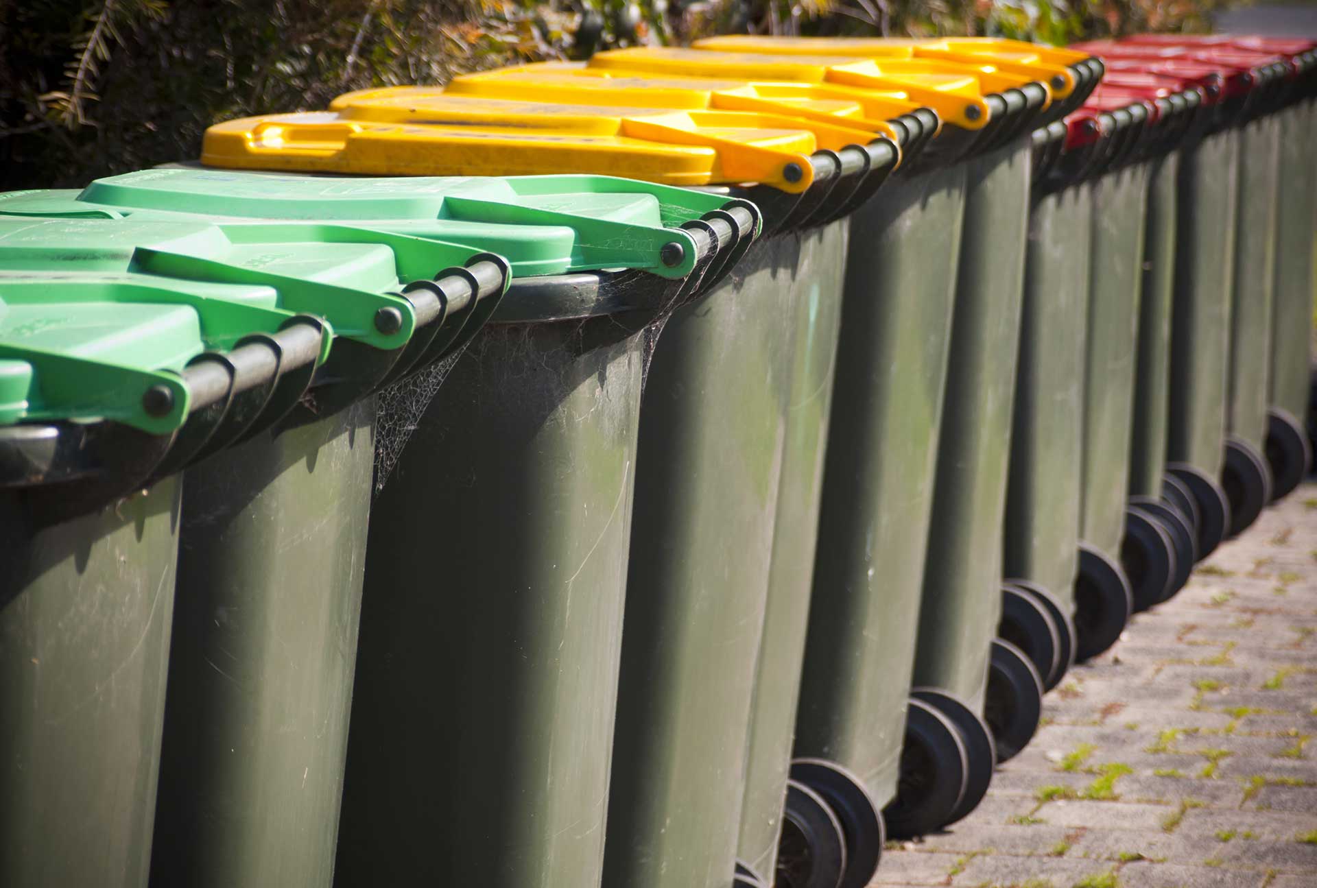 How To Get Rid Of A Broken Wheelie Bin at Claudia Mims blog