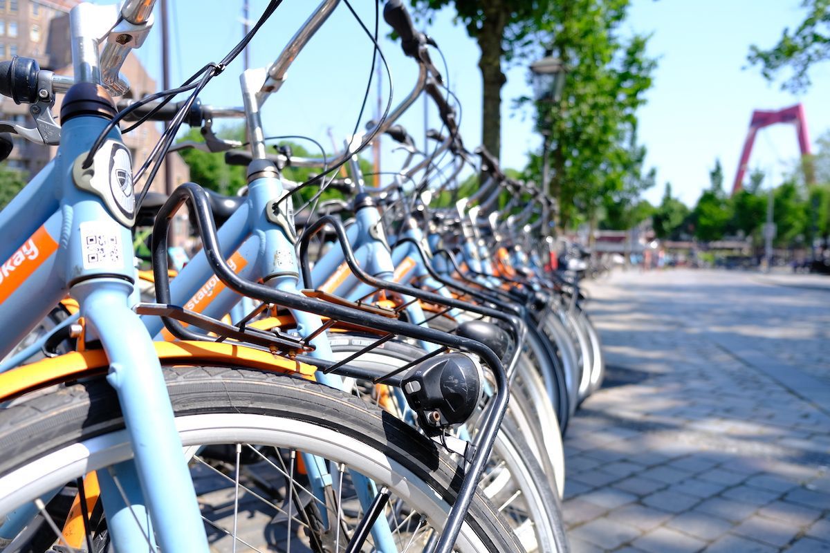 Go on a Rotterdam Bicycle Tour Cheap Holiday Expert