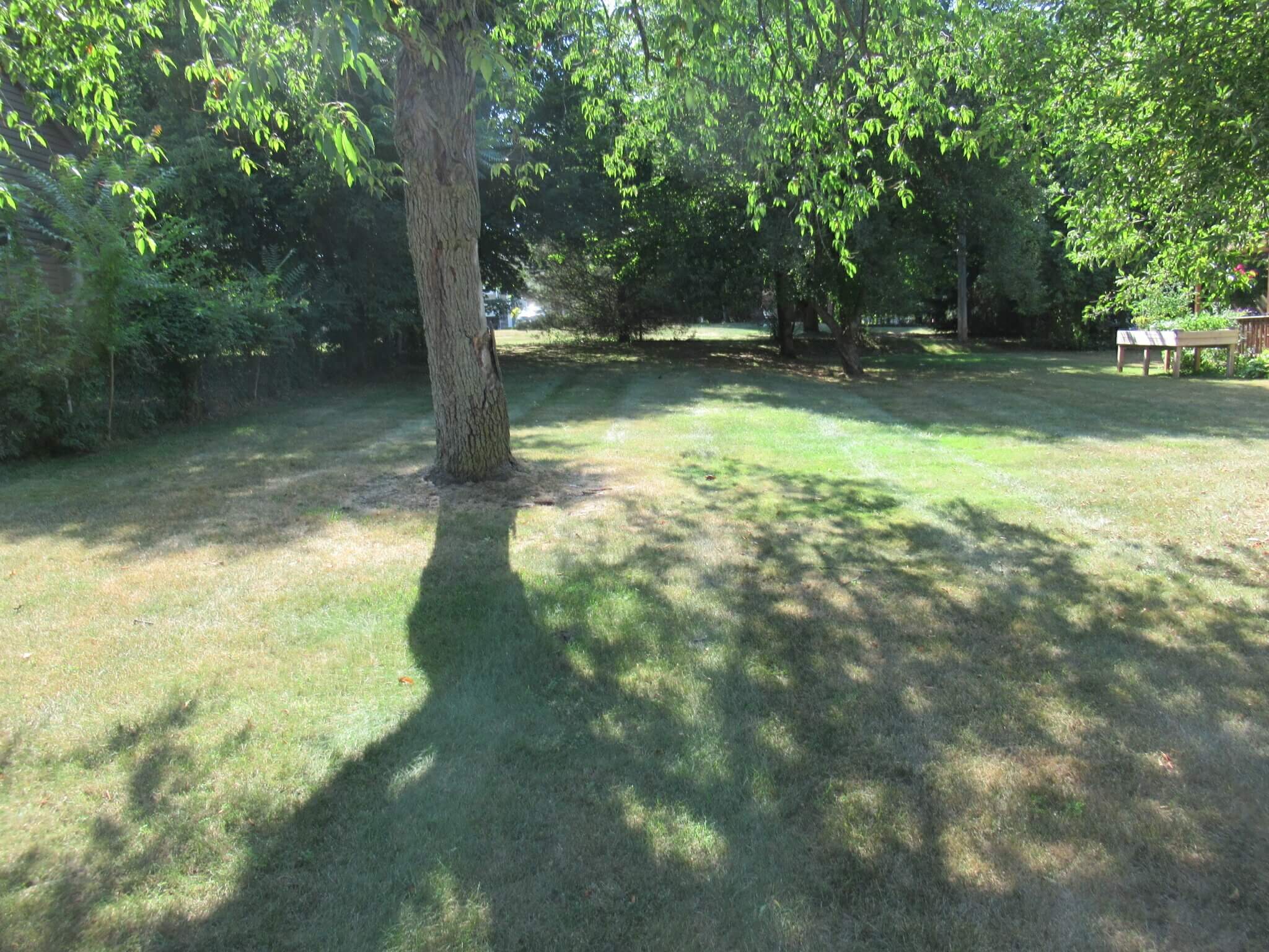 Undeveloped Lot Small, Flat Undeveloped Lot Residential