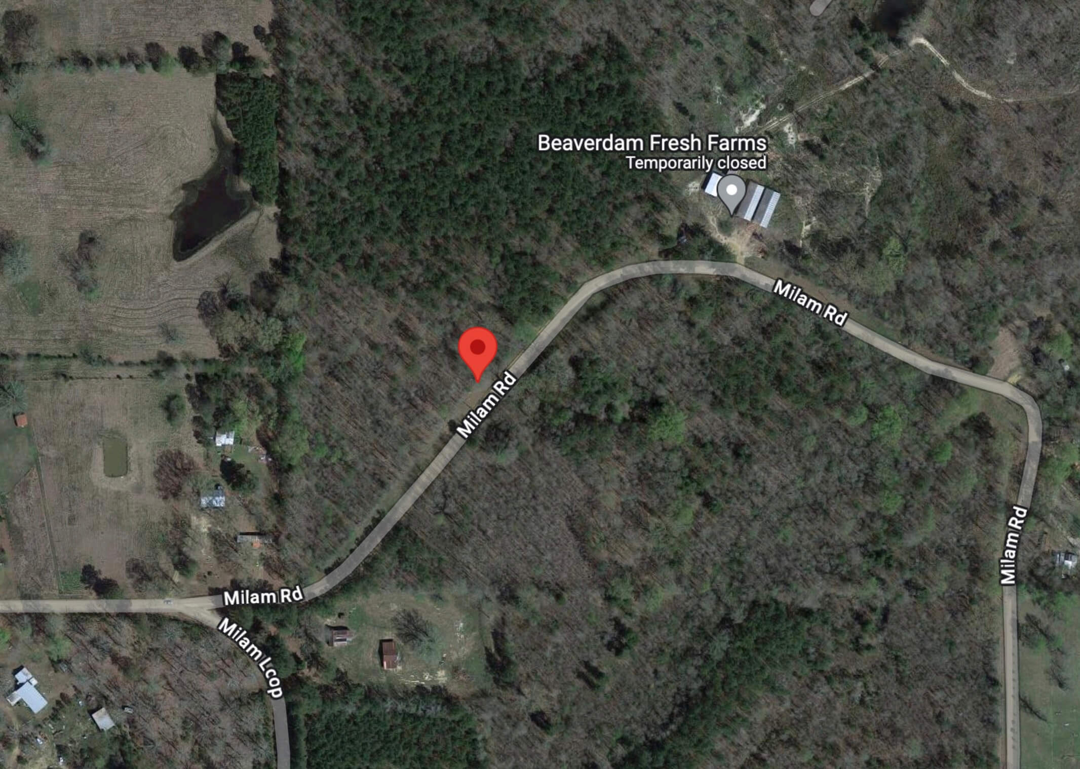 20 Acres With Trees Dirt Road Treed, 20 Acres With Trees Cheap Lands