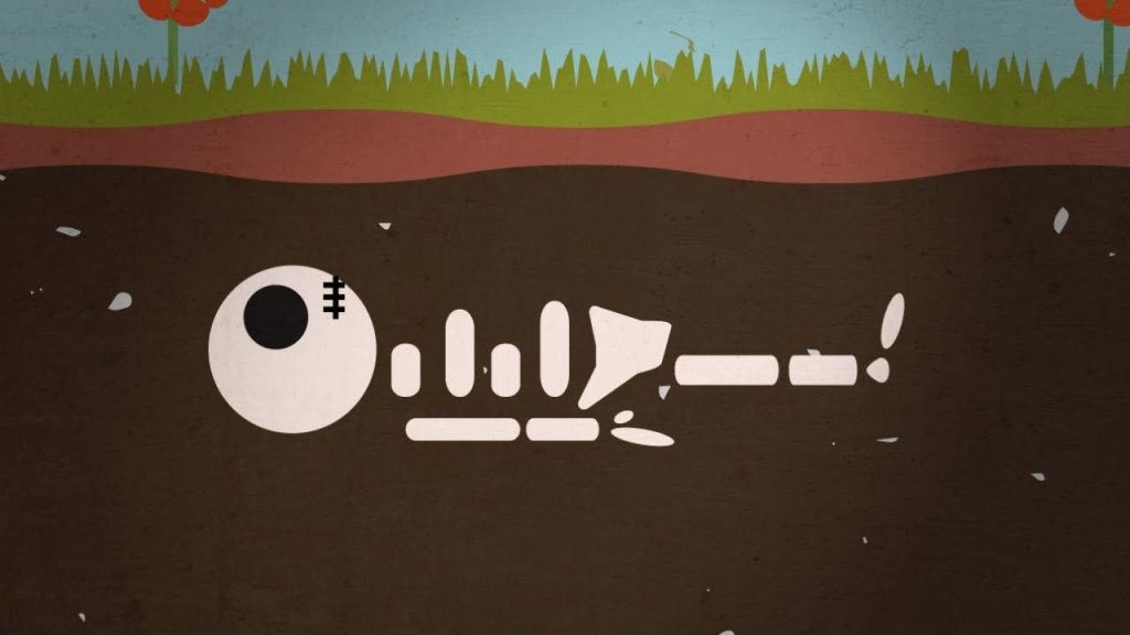 How Long Do Bones Last After Death Do Skeletons