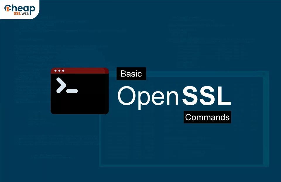 Basic OpenSSL Commands A Complete Guide