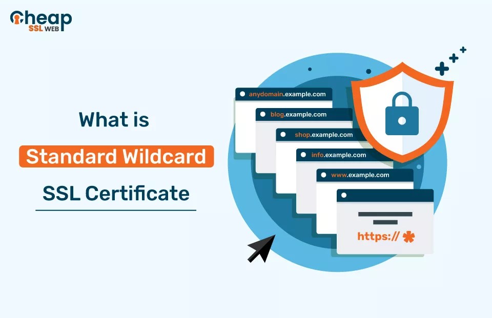 What is a Standard Wildcard SSL Certificate? Detailed Guide