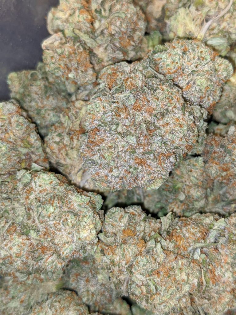 Buy Bulk 69 Oz Grease Monkey Strain Cheap Weed Pounds & Reviews