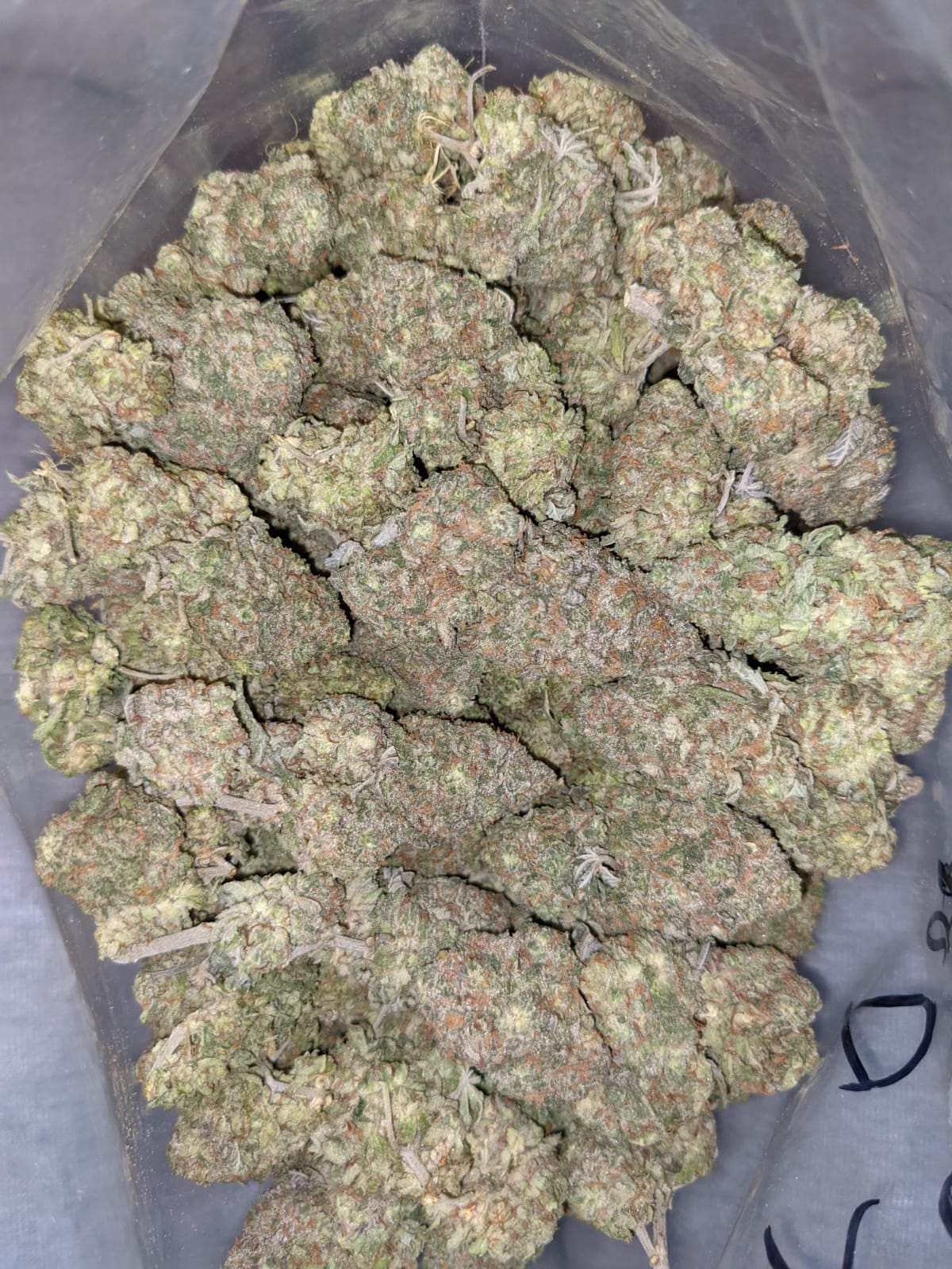 Buy Cherry Kush *Deal of the Day* Online Cheap Weed