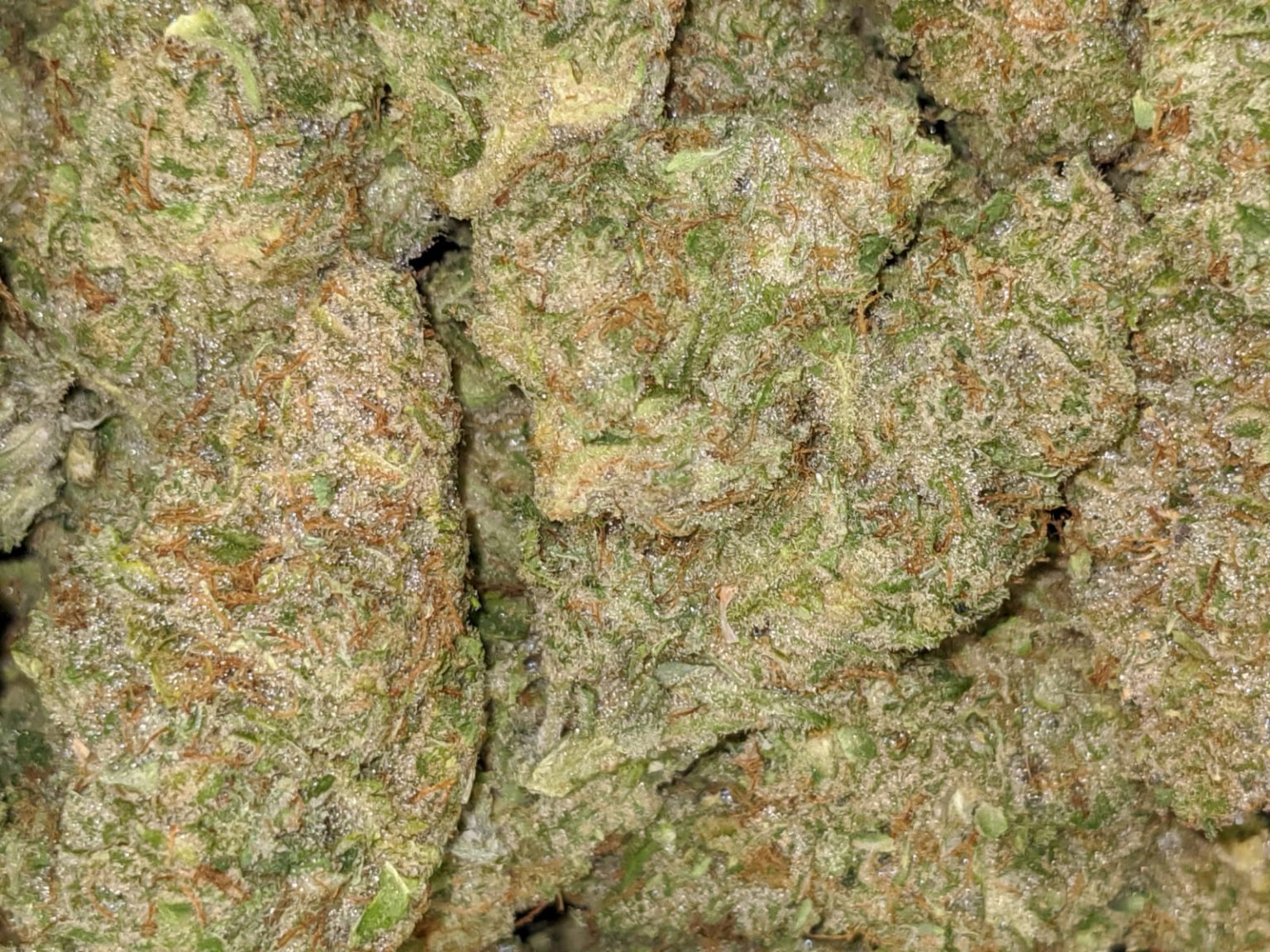 Buy Starburst Online Cheap Weed