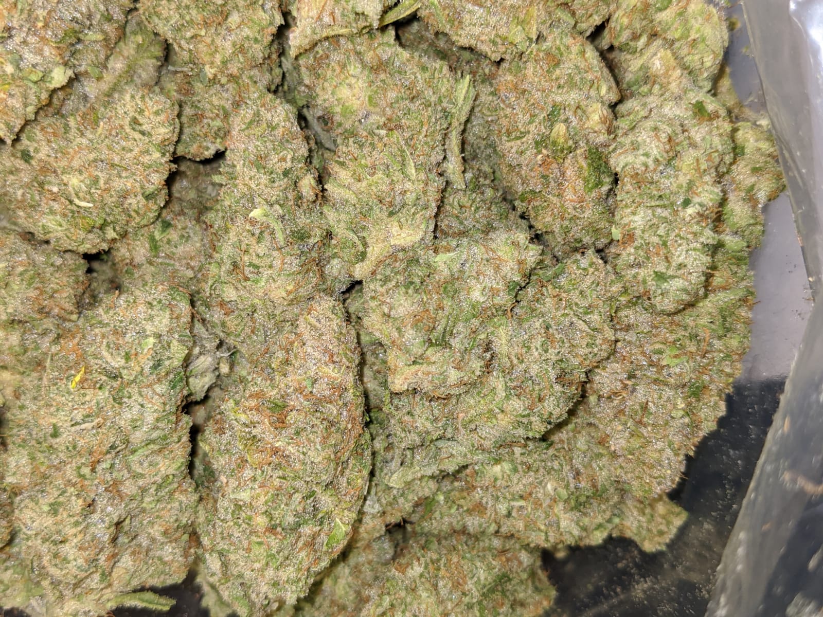 Buy Starburst Online Cheap Weed