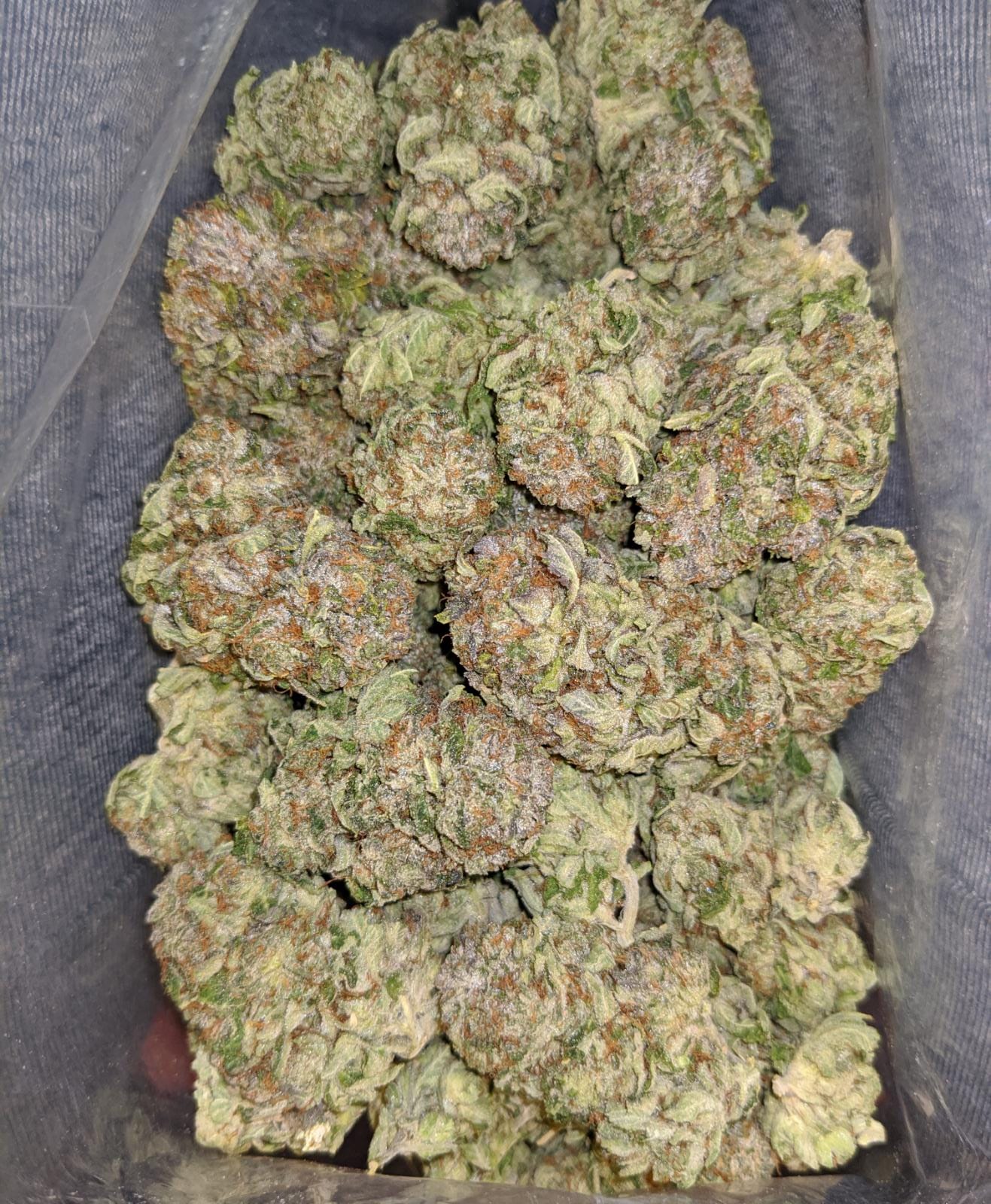 Buy Emma's Tuna Kush 24.66 THC Online Cheap Weed