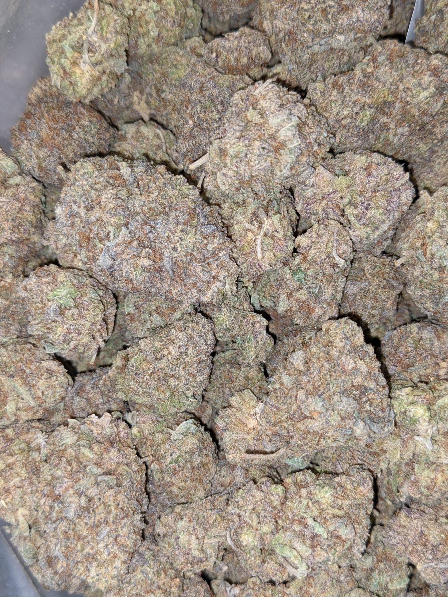 Buy Black Licorice *Deal of the Day* Online Cheap Weed