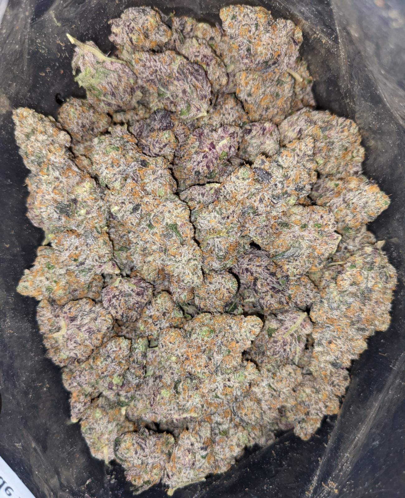 Buy LA Kush Pop Online Cheap Weed