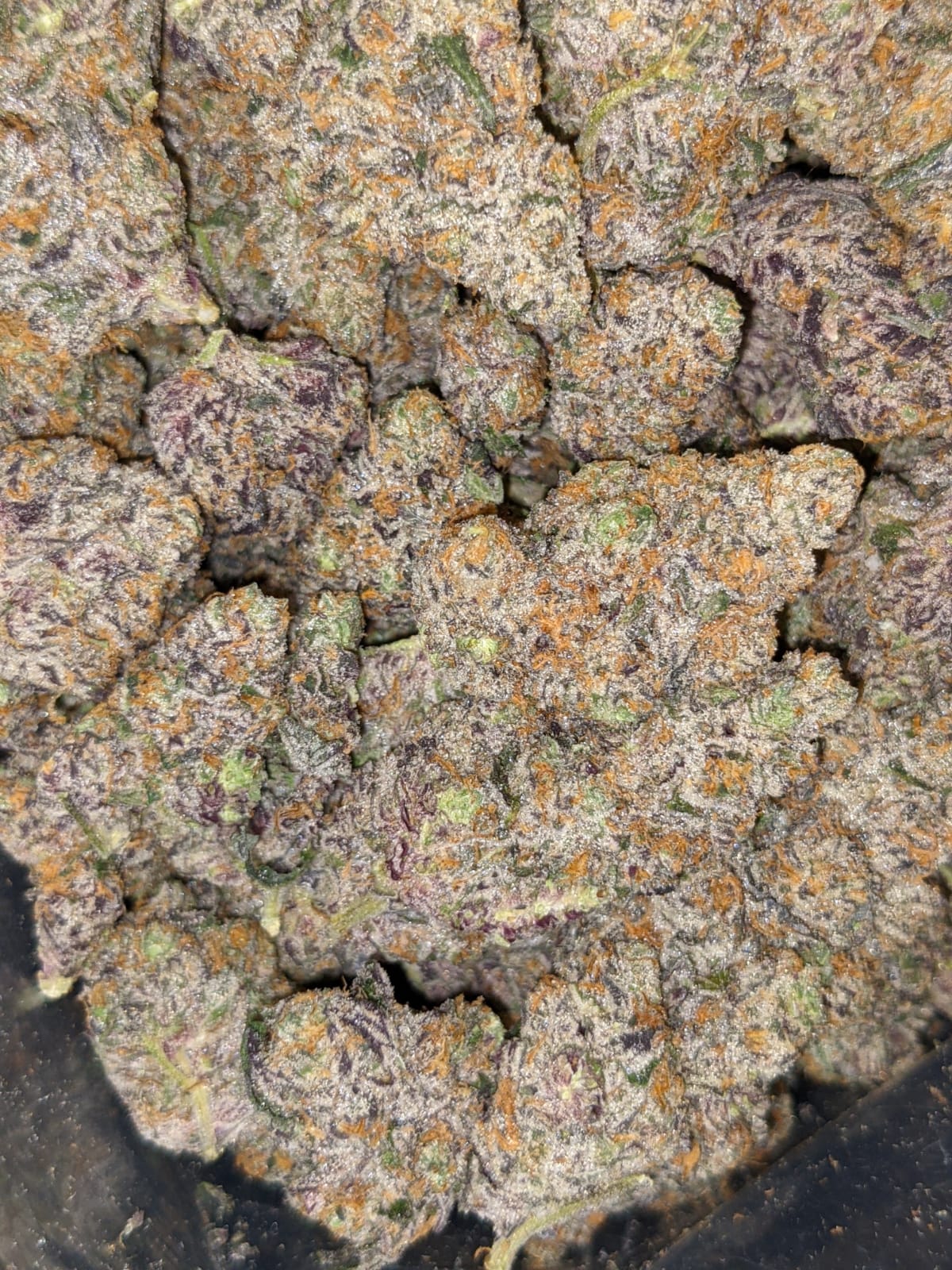 Buy LA Kush Pop Online Cheap Weed