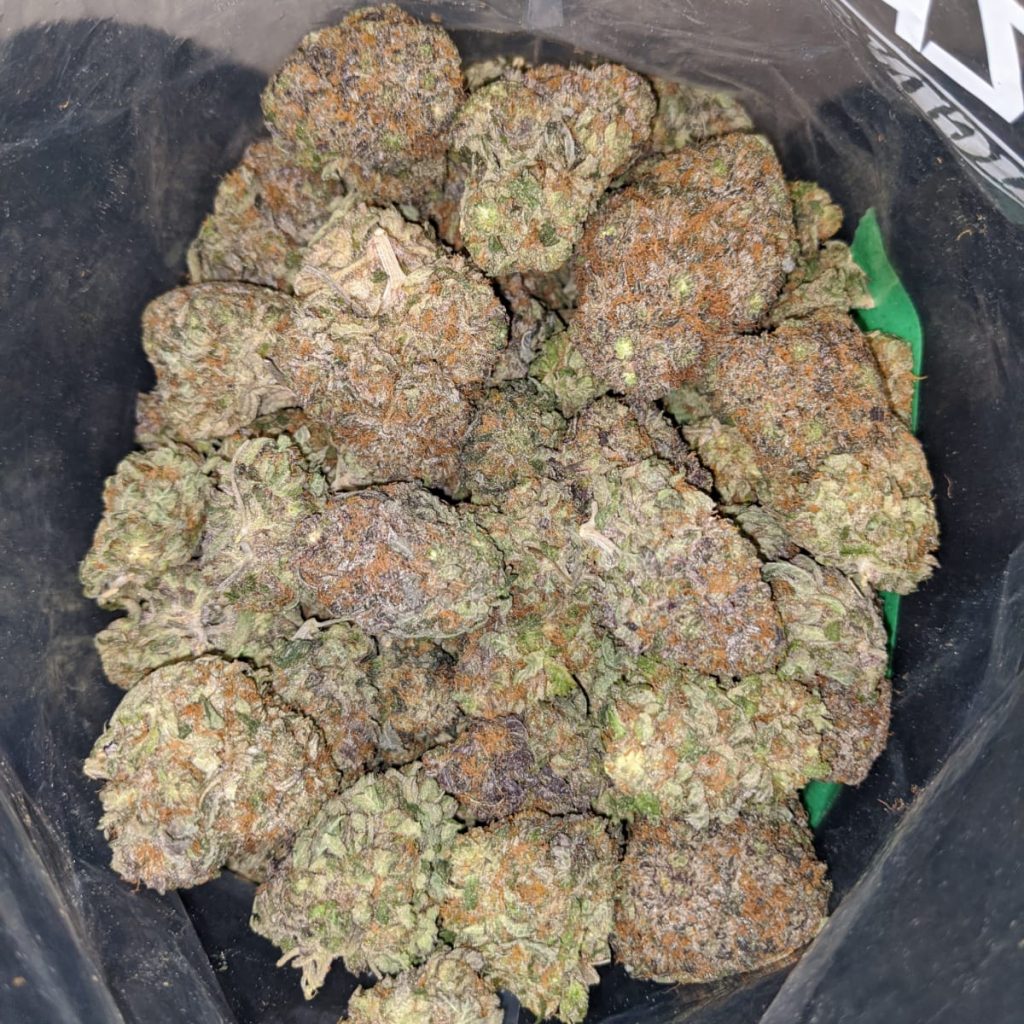 Buy Bulk Mint Chocolate Chip Strain Cheap Weed Pounds & Reviews