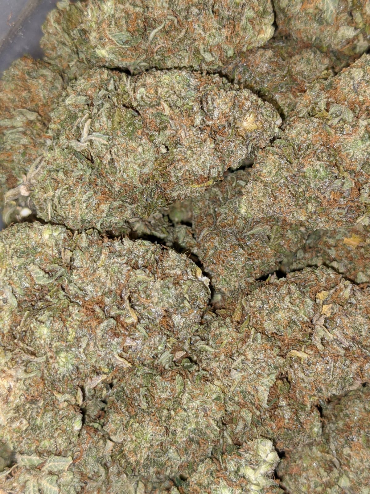 Buy Pineapple Kush *Deal of the Day* Online Cheap Weed