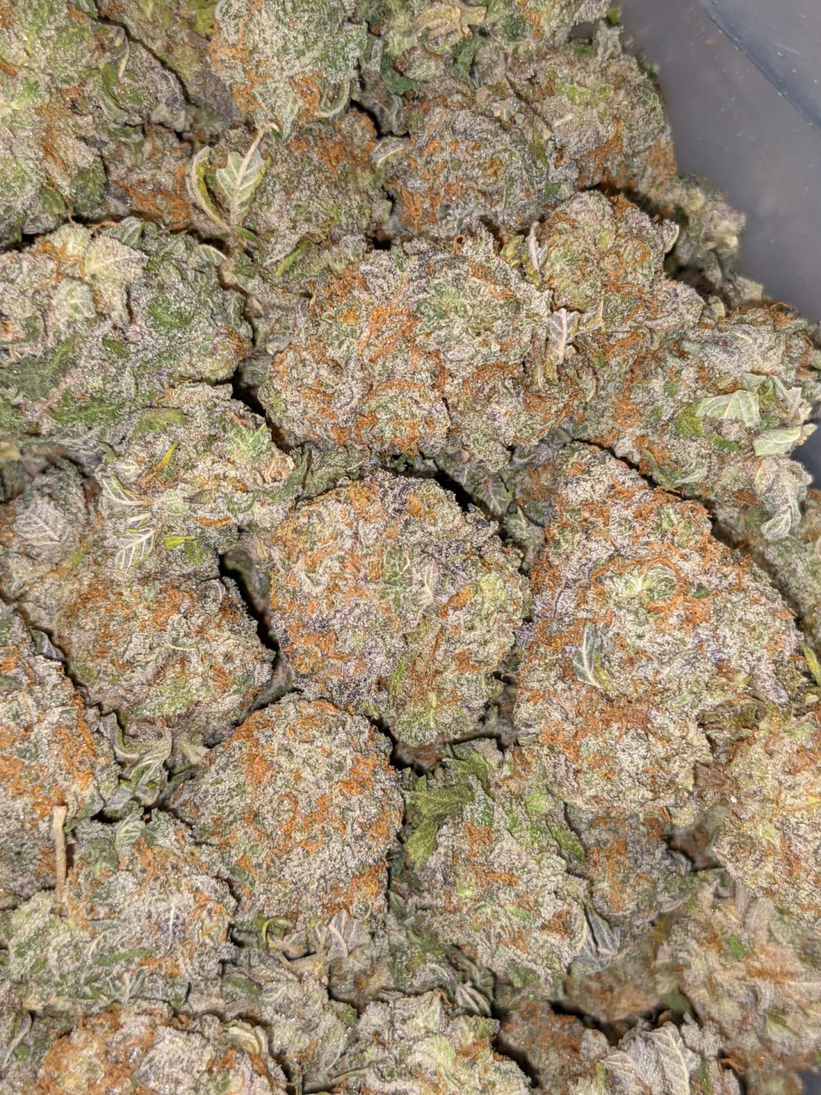 Buy Raspberry Cough Online Cheap Weed