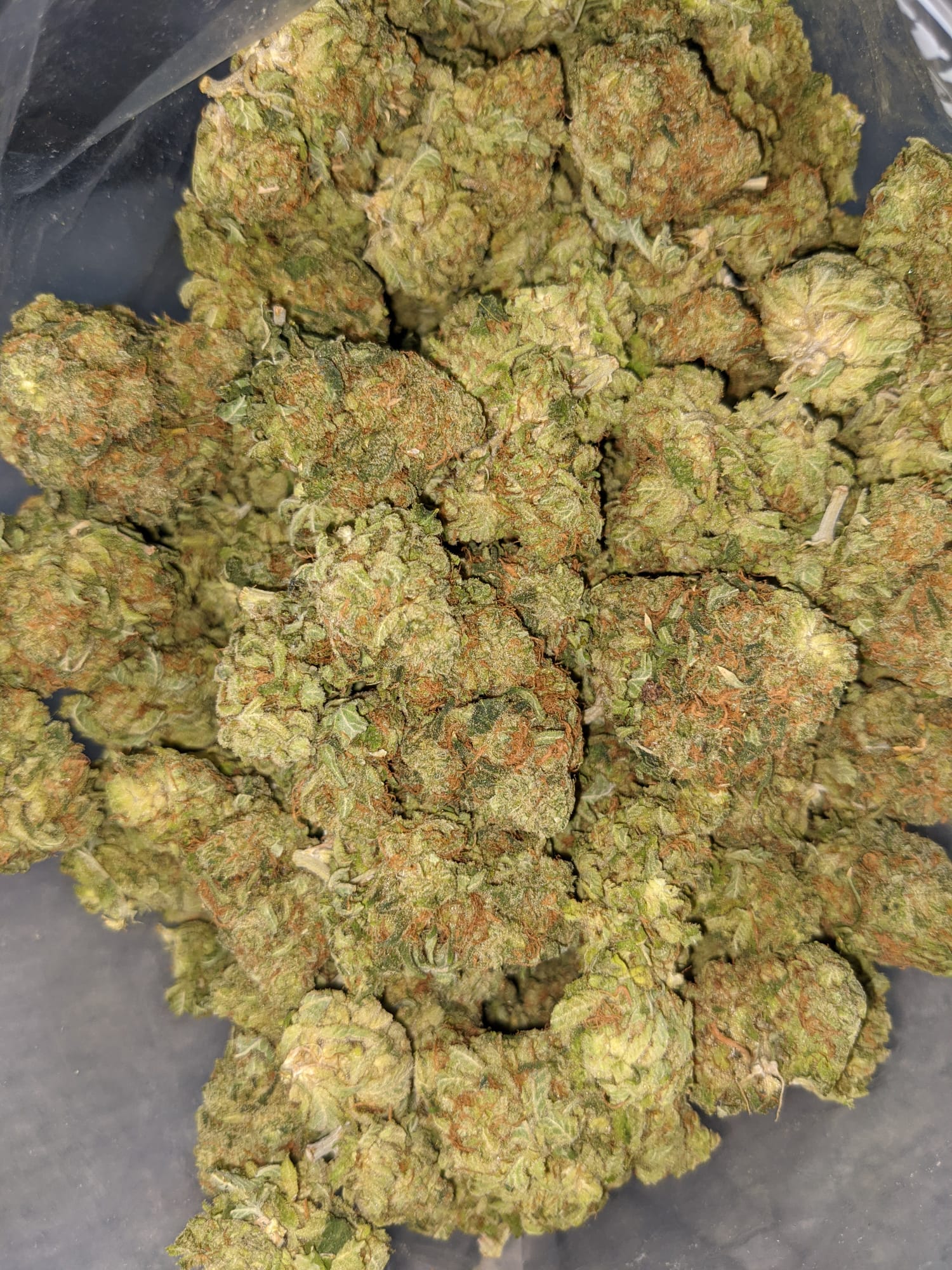 Buy Banana Bread *Deal of the Day* Online Cheap Weed