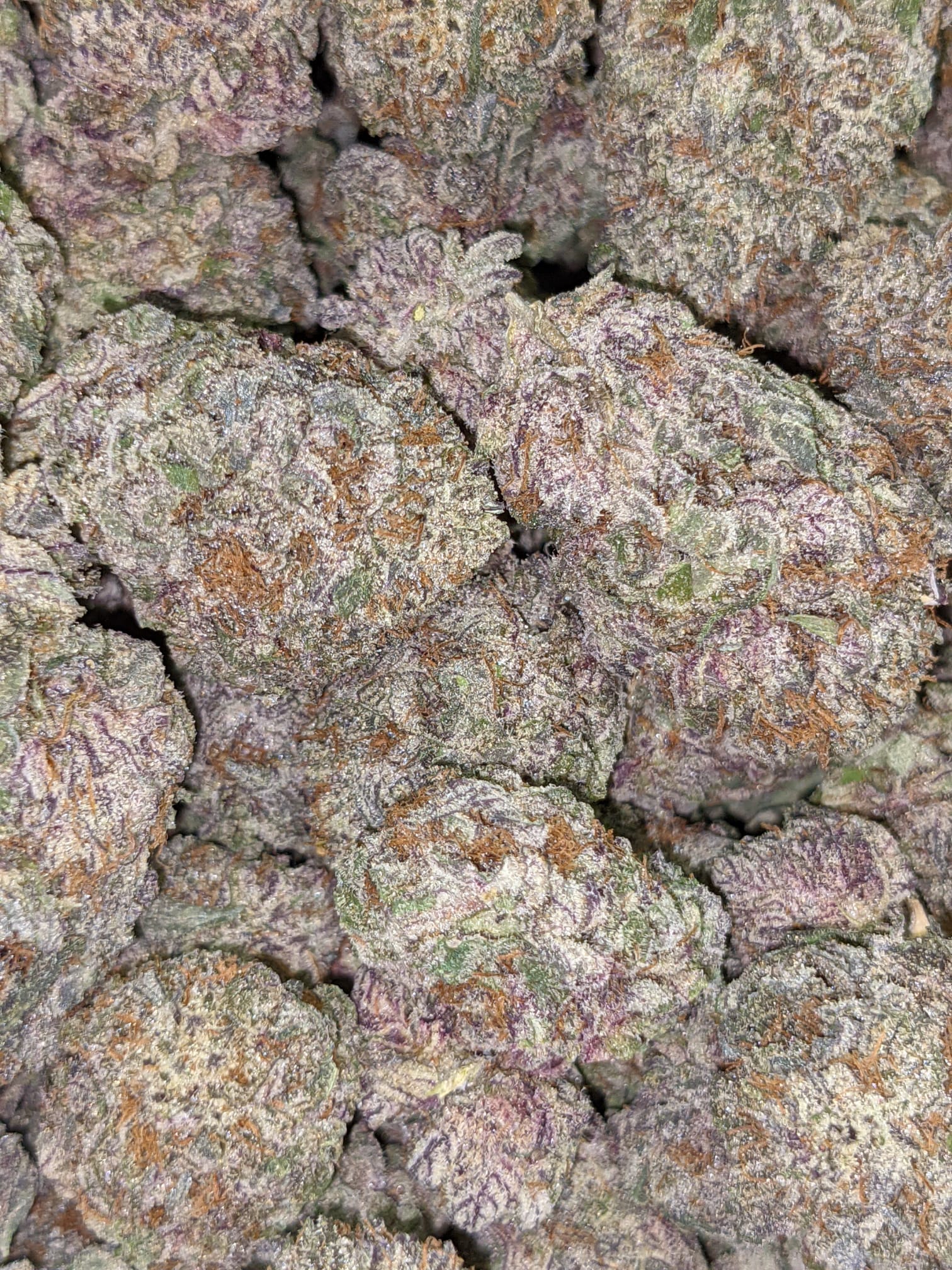 Buy Purple Diesel Online Cheap Weed
