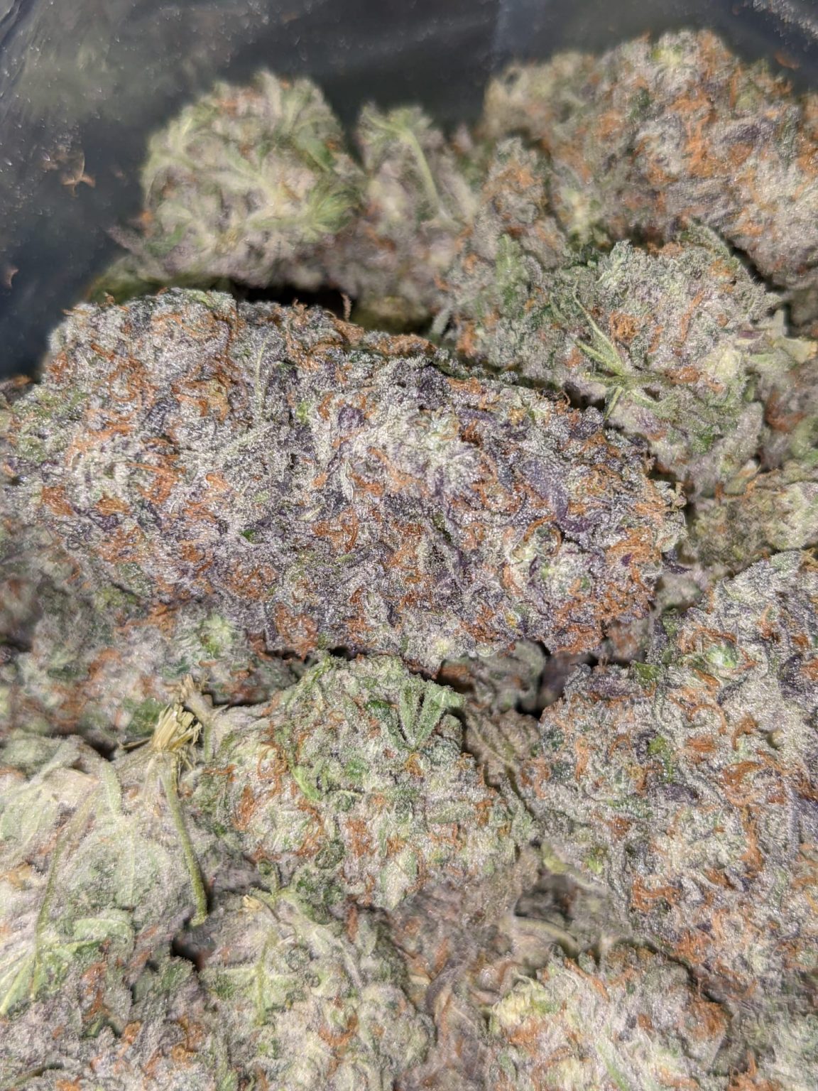 Buy Snozzberry Online Cheap Weed