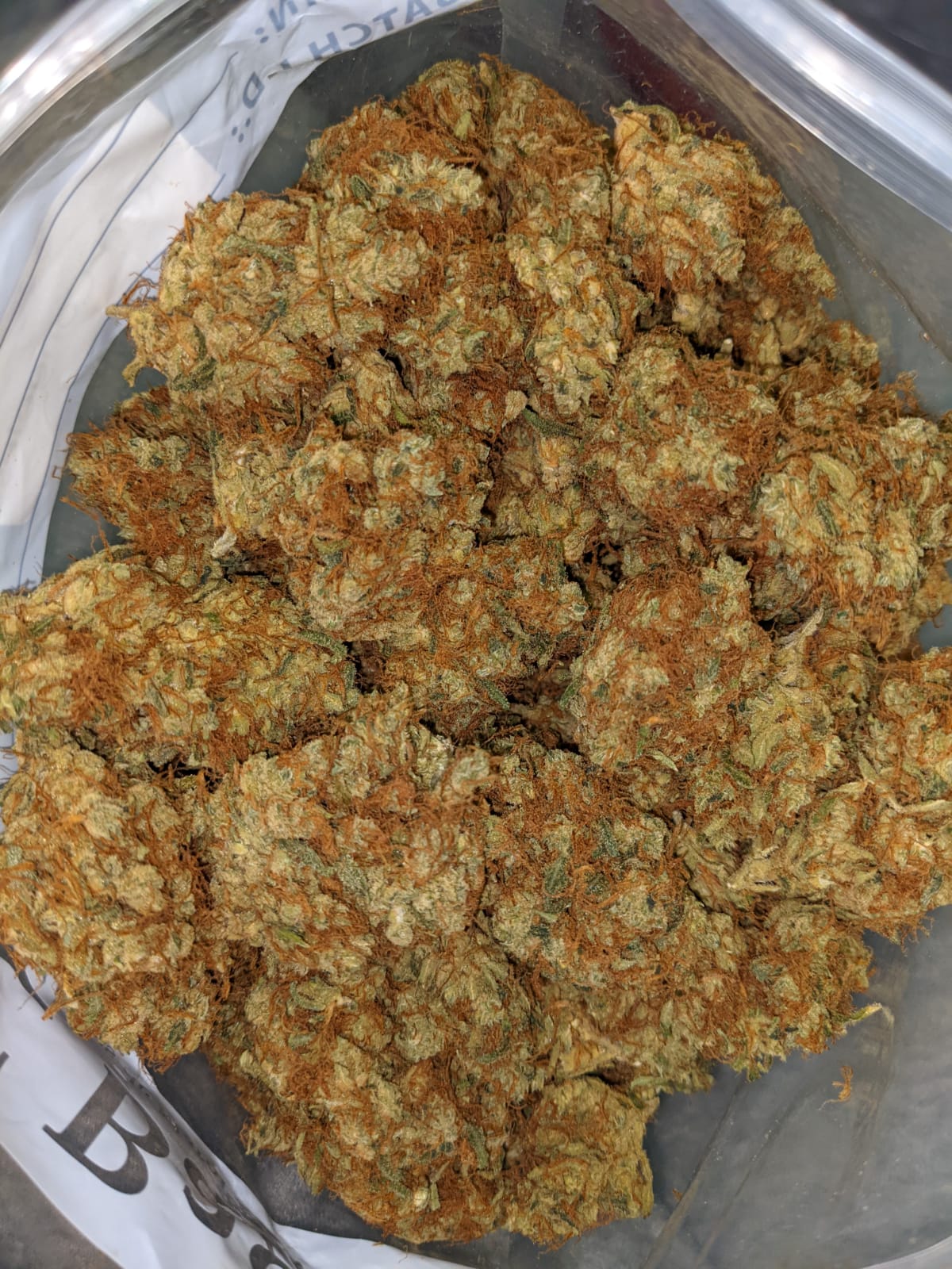 Buy Orange Creamsicle Online Cheap Weed
