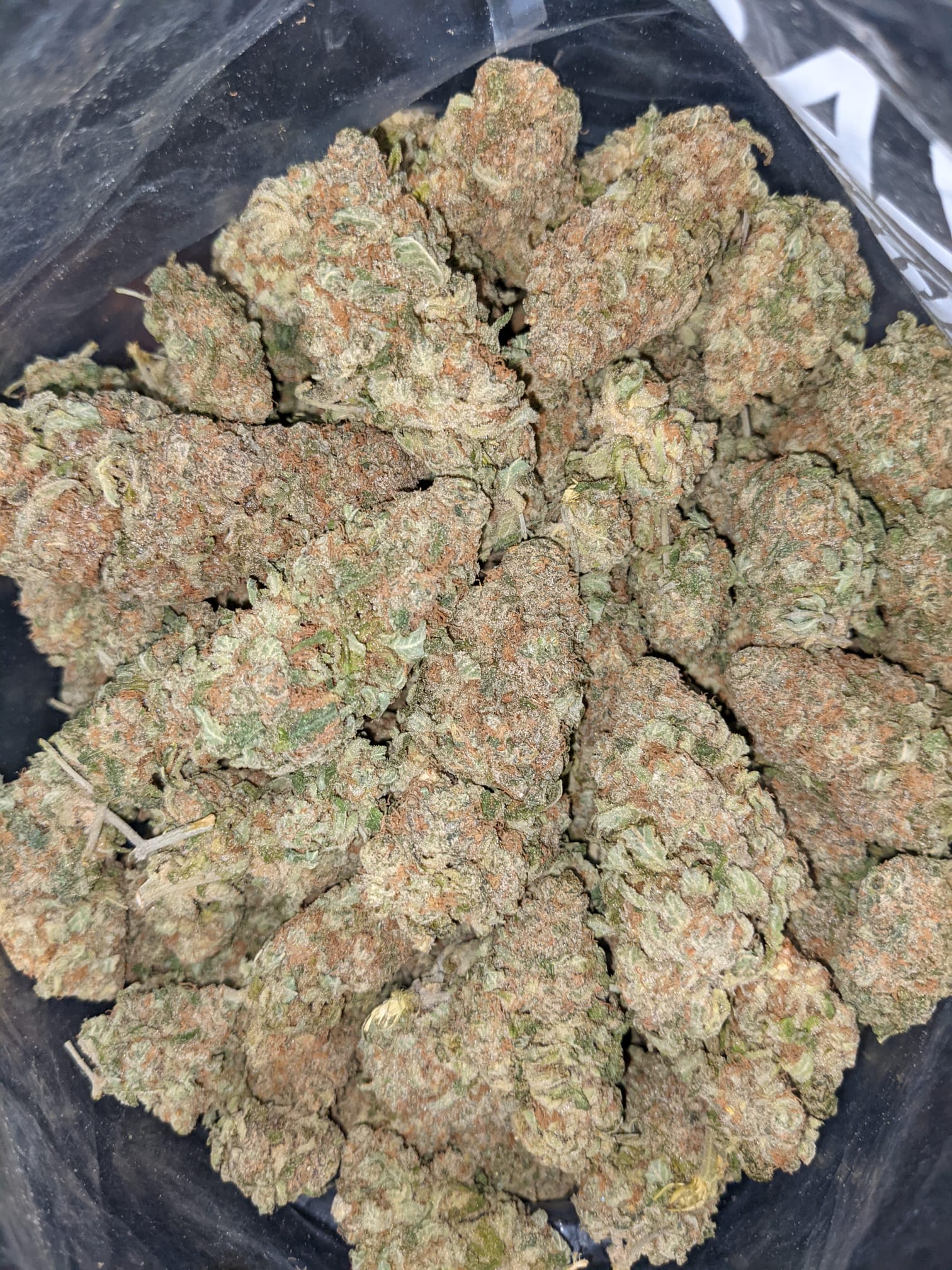 Buy Cream Soda *Deal of the Day* Online Cheap Weed