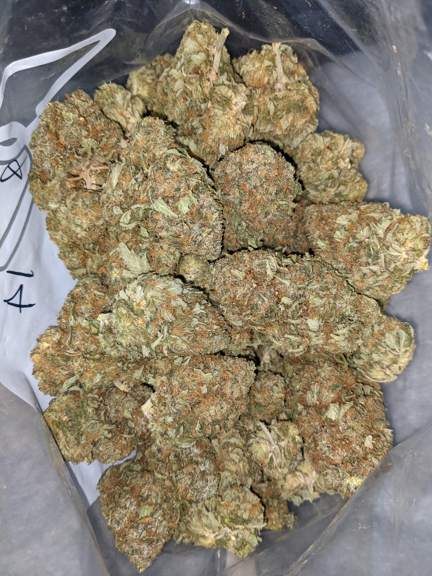 Buy Pineapple Jack *Deal of the Day* Online Cheap Weed
