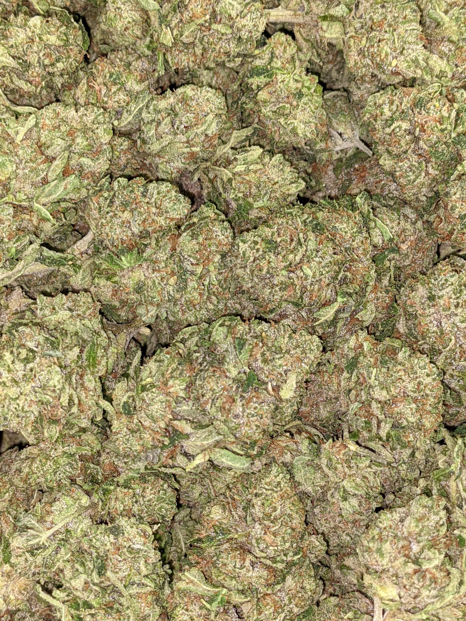 Buy Pink Kush *Deal of the Day* Online Cheap Weed