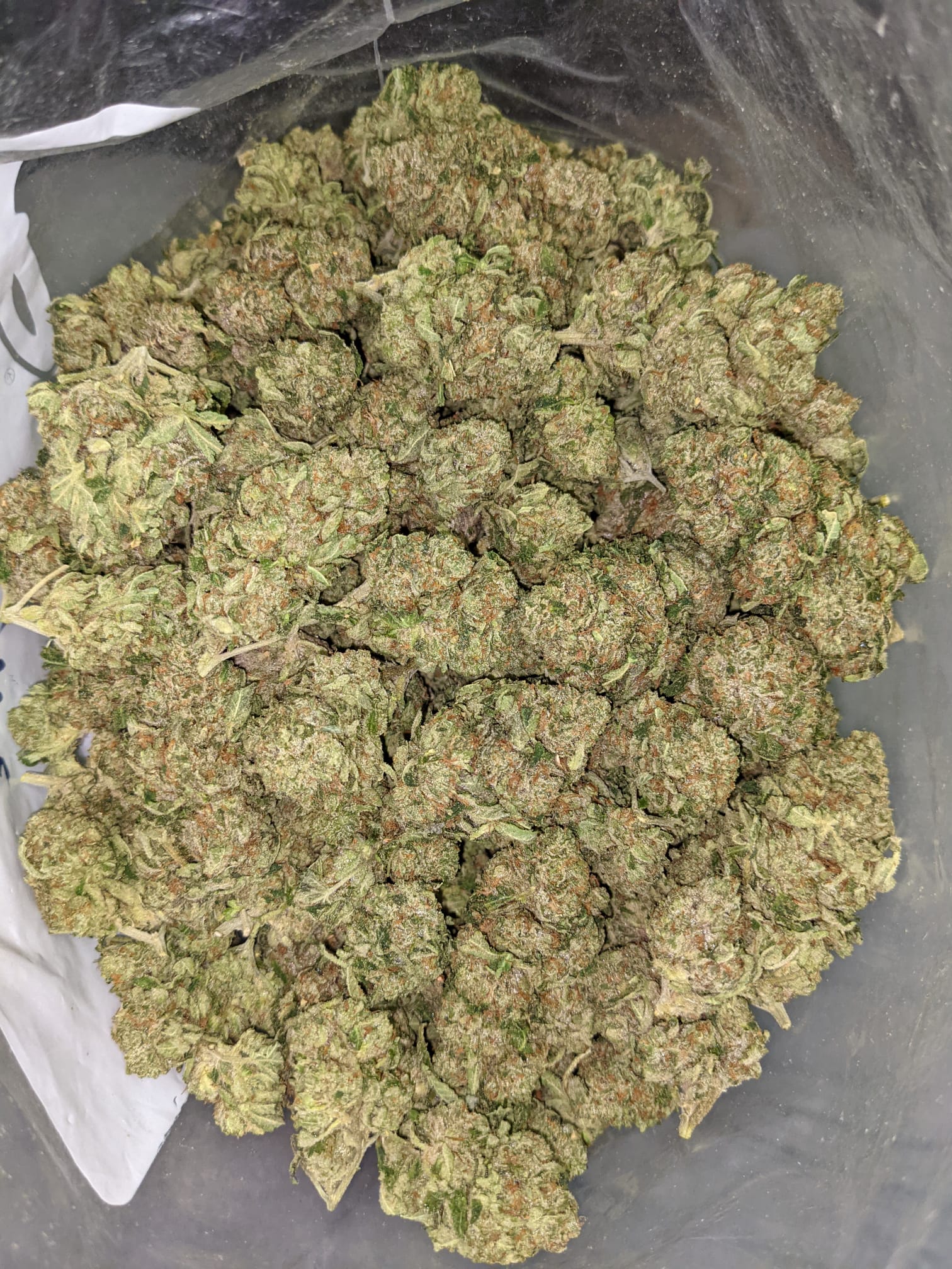 Buy Pink Kush *Deal of the Day* Online Cheap Weed