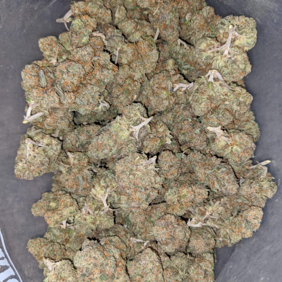 Buy Bulk 71 Oz Zkittlez Strain Cheap Weed Pounds & Reviews