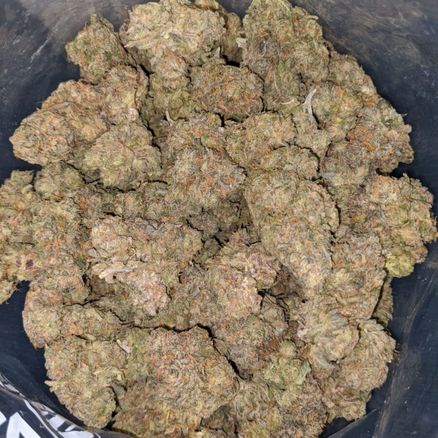 Buy Bulk 70 Oz Zkittles X Gelato Strain Cheap Weed Pounds & Reviews